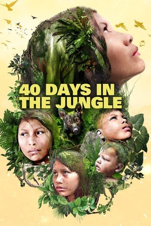 40 Days Lost in the Jungle